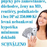 Pujcka online ihned bez registru zlaté hory picture 8